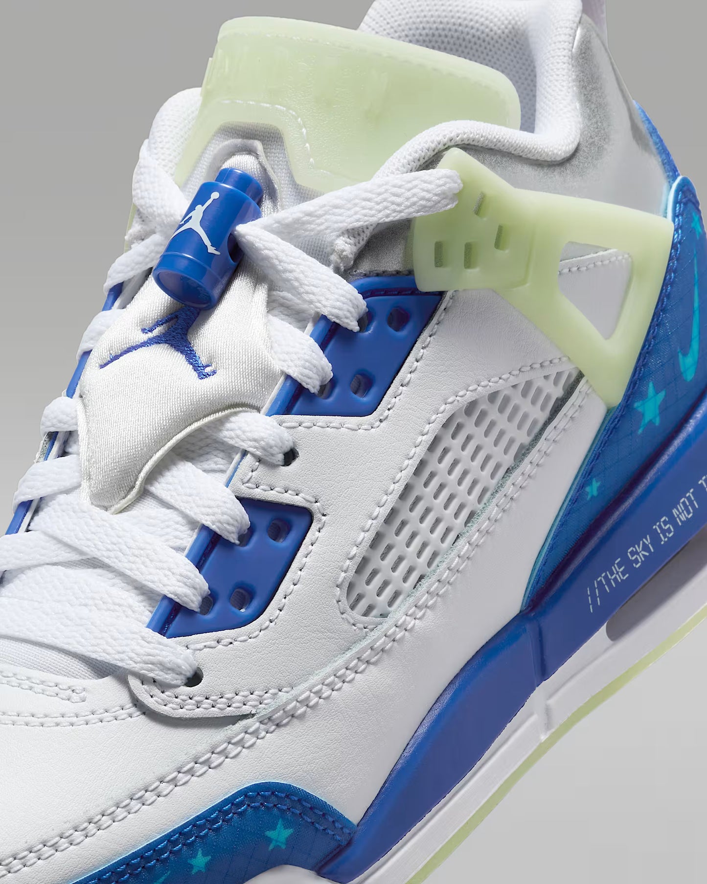 Jordan Spizike Low Sneaker School