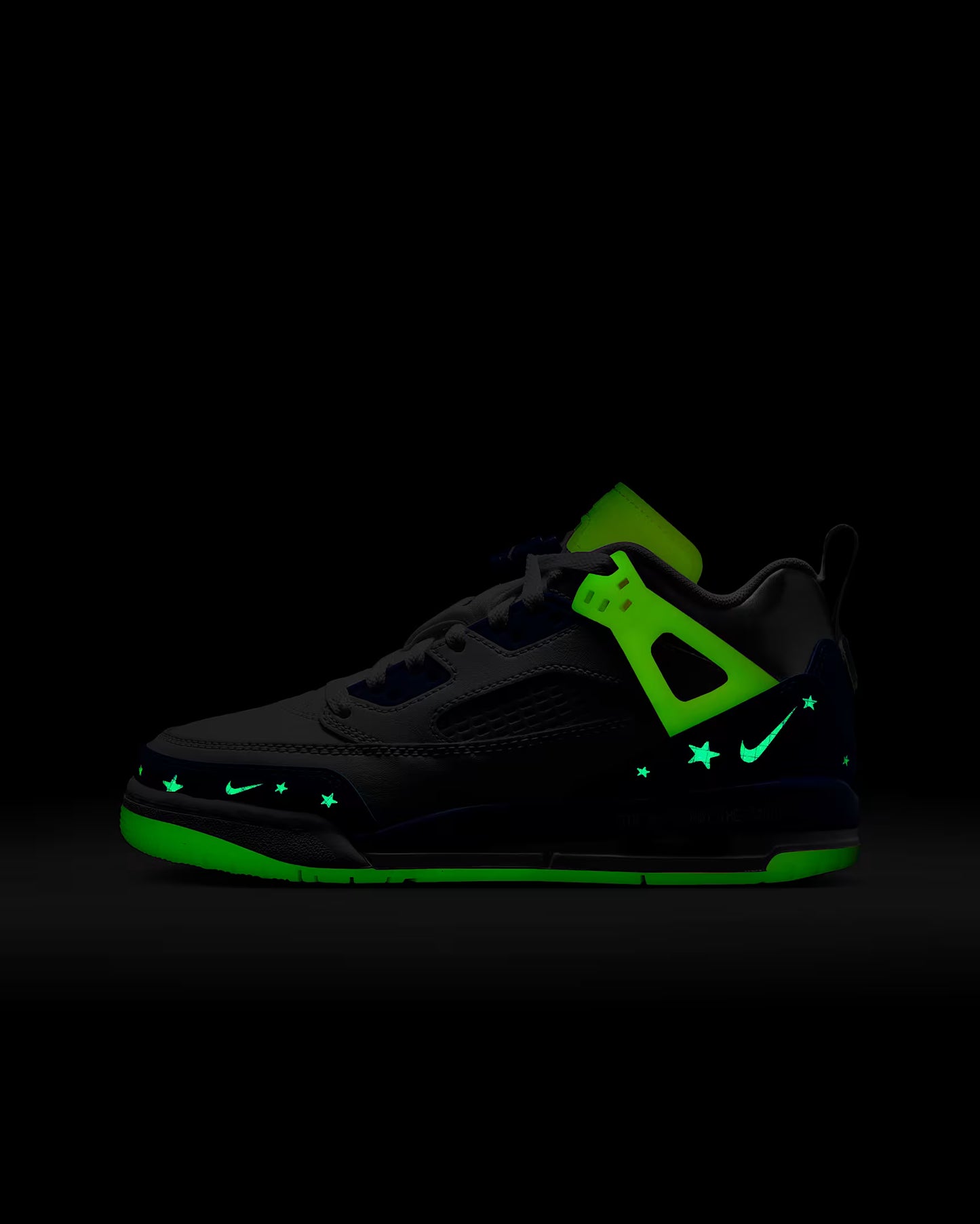 Jordan Spizike Low Sneaker School