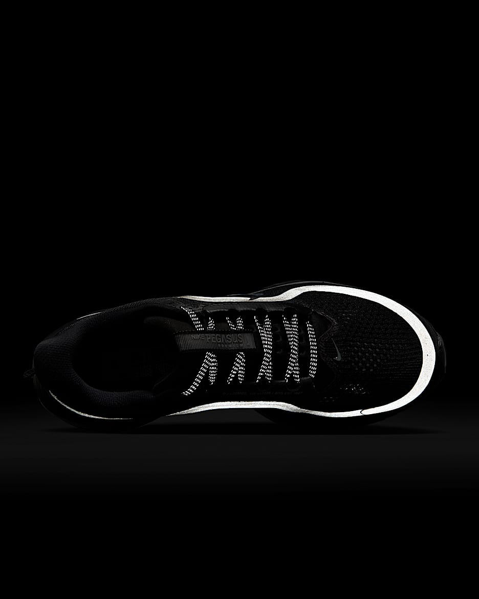 Nike Pegasus Premium (Limited Edition)