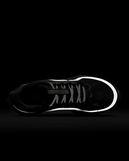 Nike Pegasus Premium (Limited Edition)