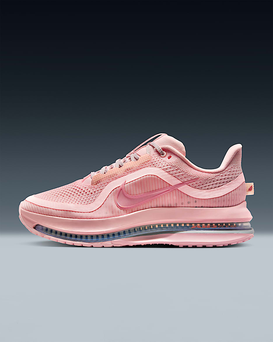 Nike Pegasus Premium (Limited Edition)