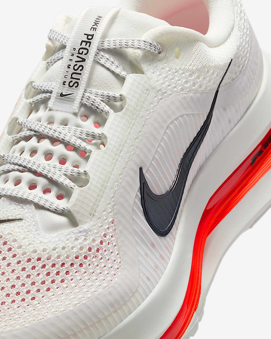 Nike Pegasus Premium (Limited Edition)